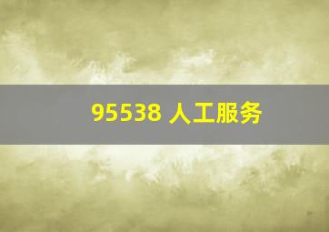 95538 人工服务